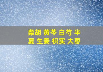 柴胡 黄芩 白芍 半夏 生姜 枳实 大枣